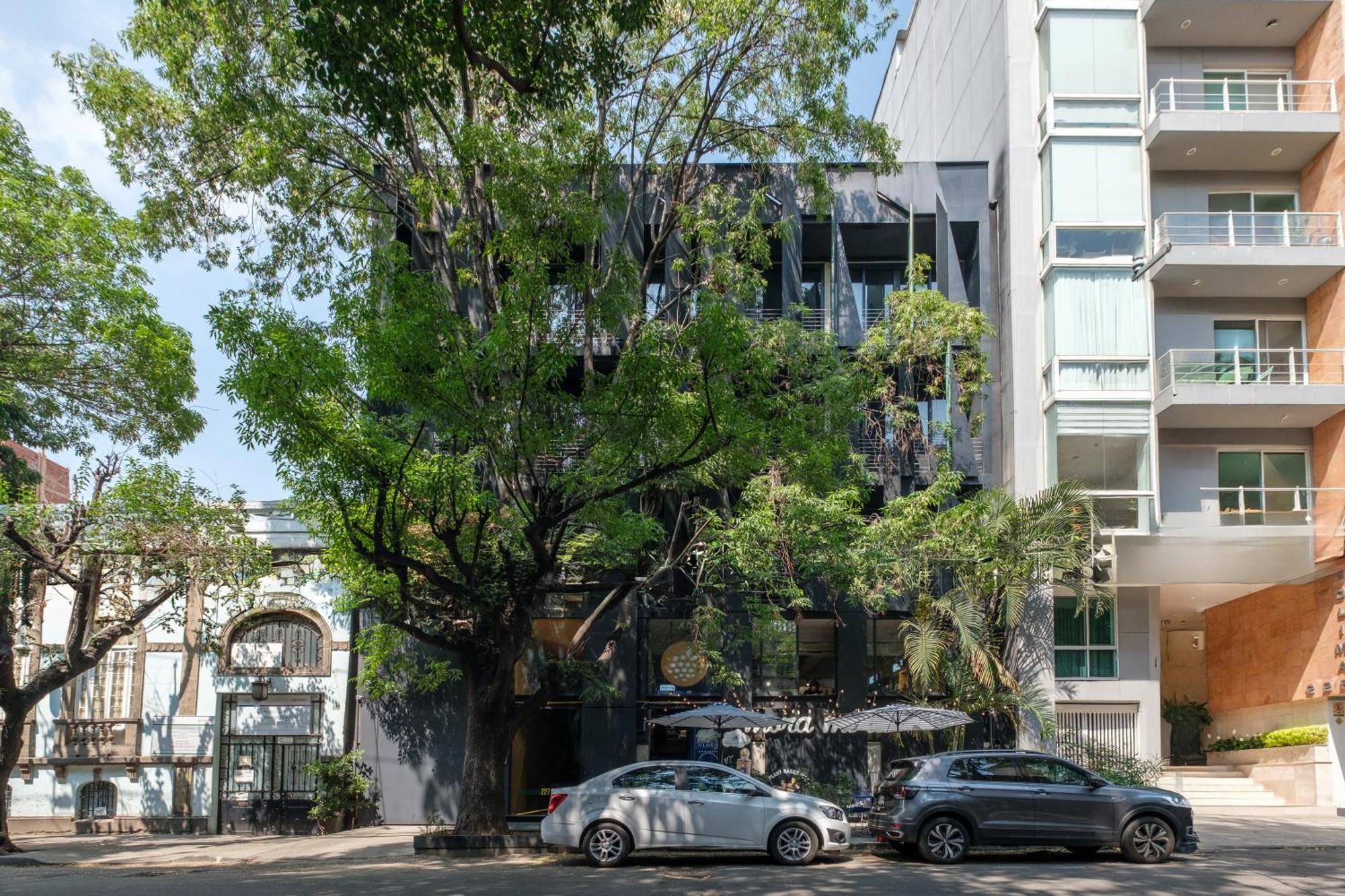 Boga Mexico City By Lumina Cidade do México Exterior foto